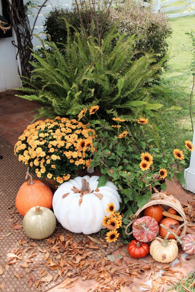 5 Tips for Creating a Cozy Fall Tablescape | Musings by Madison - Home Decor Blogger